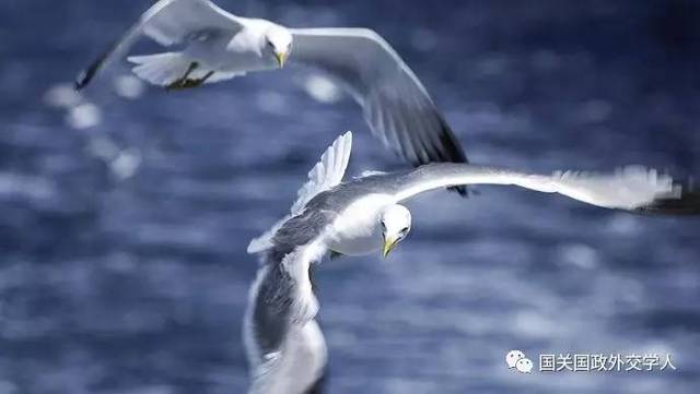 欢迎来到公赌船【中美关系】金永|污到你那里滴水不止的长文|明